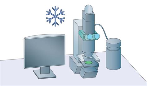 cryogenic electron microscopy.